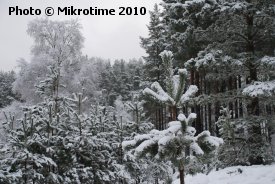 Aviemore 2010